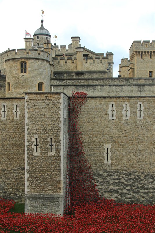 Tower of London Poppies