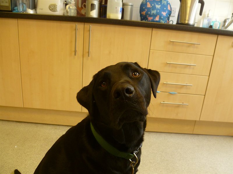 Snoop nearly qualified