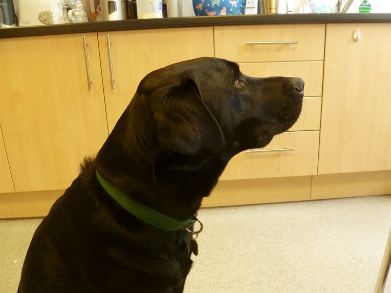 Snoop nearly qualified