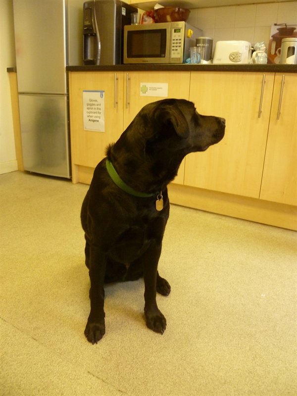 Snoop nearly qualified