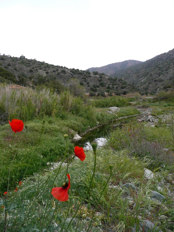 Round the back of Yermasoyia Dam