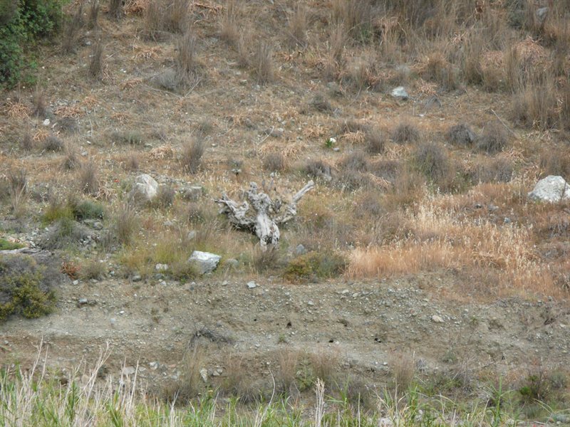 Round the back of Yermasoyia Dam