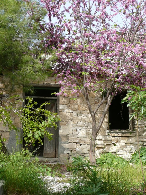 View from taverna in Vasa