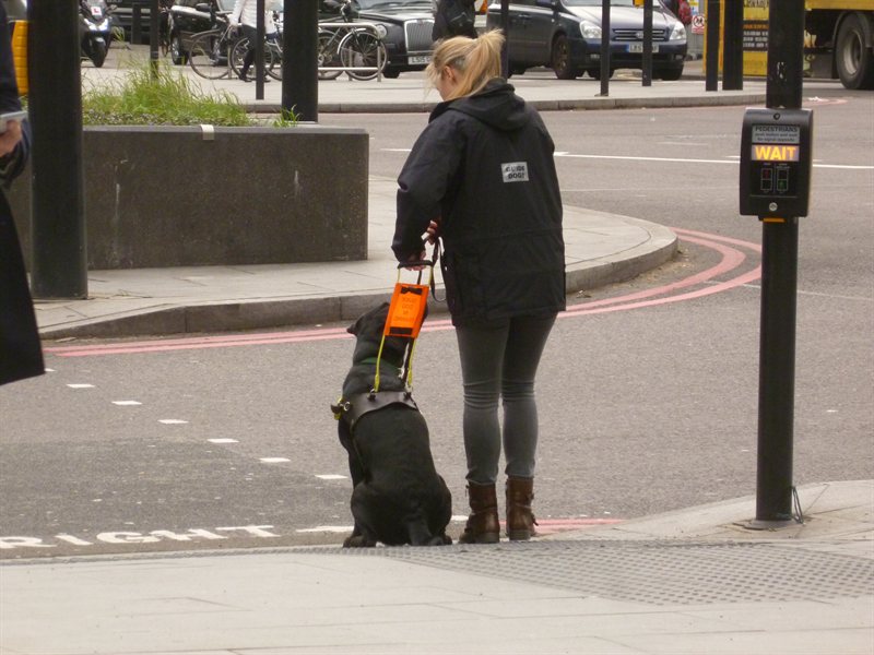 Snoop nearly qualified