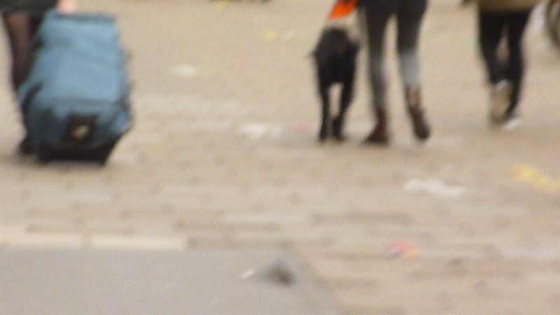 Snoop nearly qualified