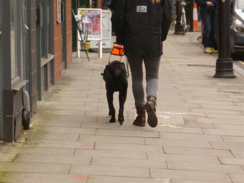 Snoop nearly qualified