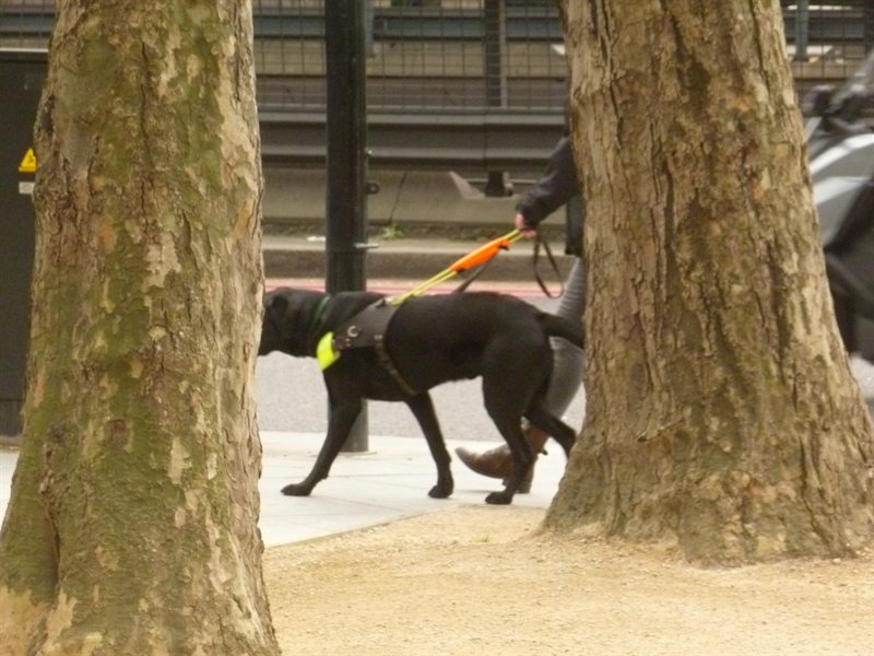 Snoop nearly qualified