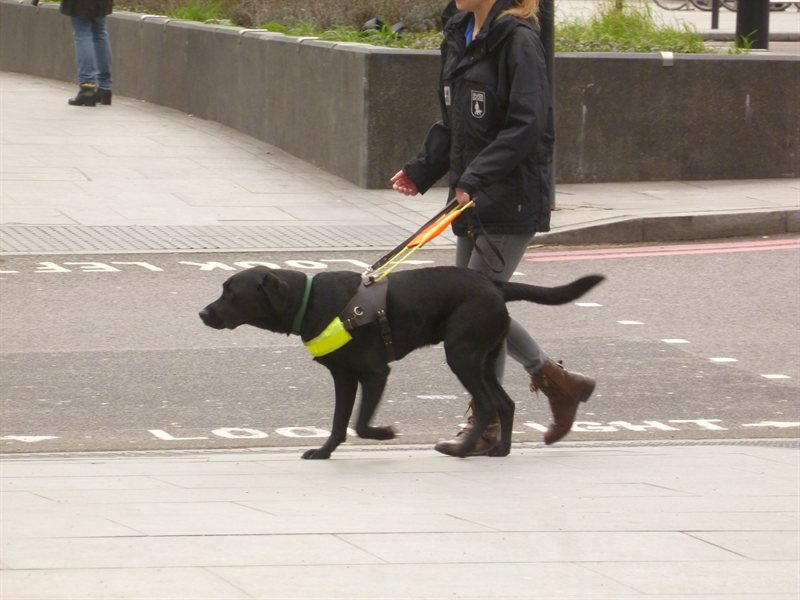 Snoop nearly qualified