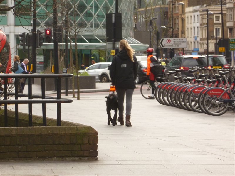 Snoop nearly qualified