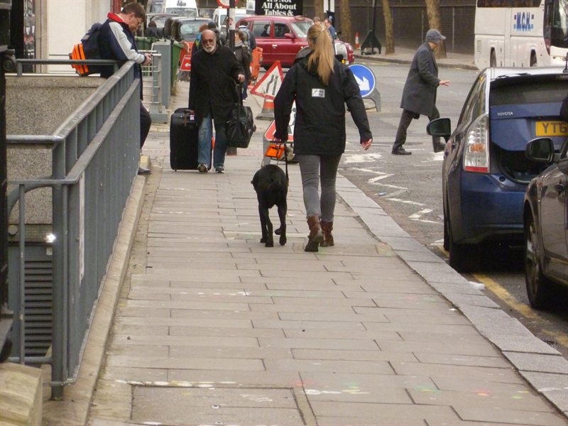 Snoop nearly qualified