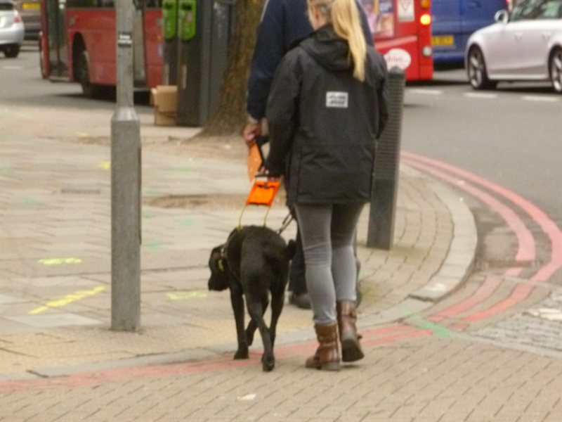 Snoop nearly qualified