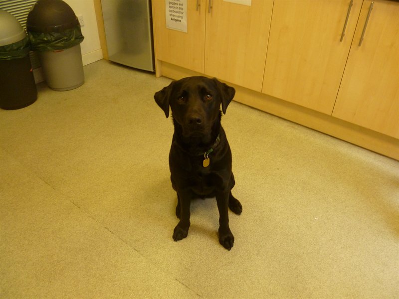 Snoop nearly qualified