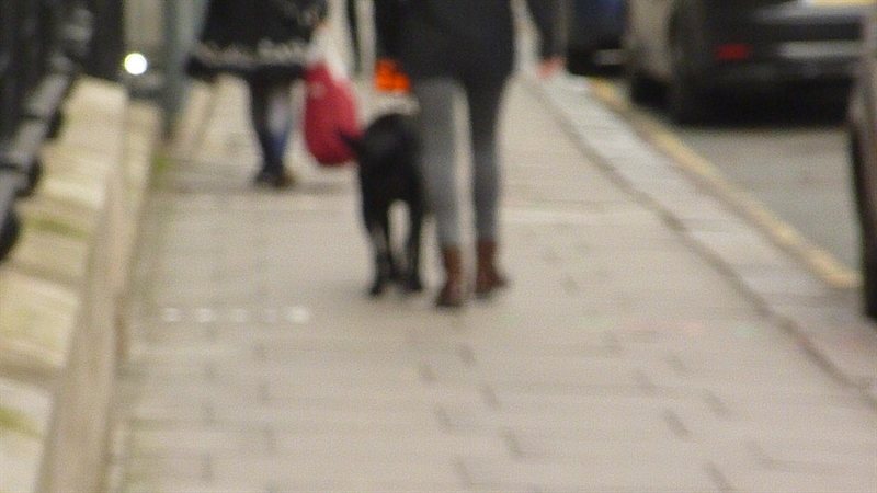 Snoop nearly qualified