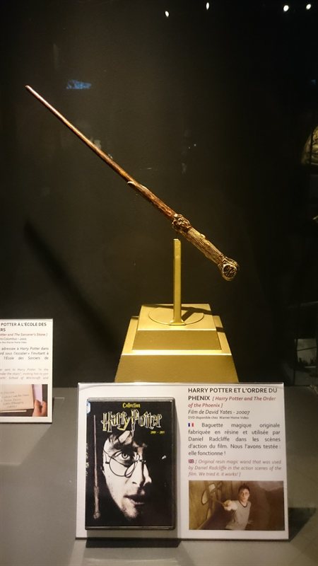 DSC_0104-e1478702946900