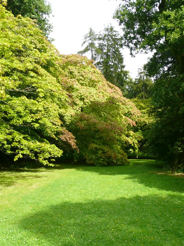Westonbirt Arboretum
