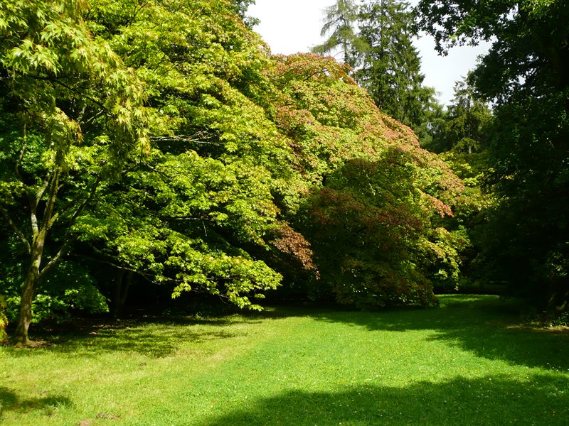 Westonbirt Arboretum