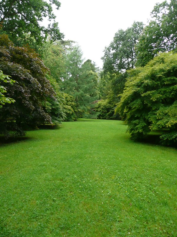 Westonbirt Arboretum
