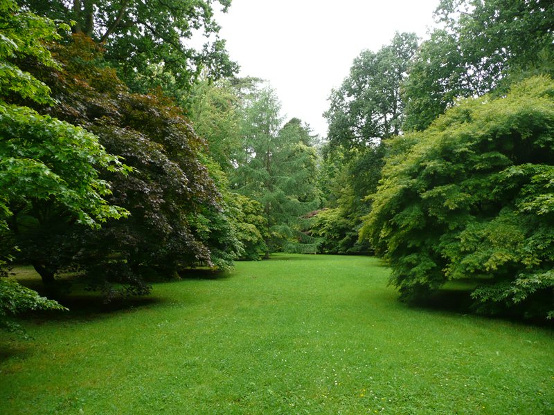 Westonbirt Arboretum