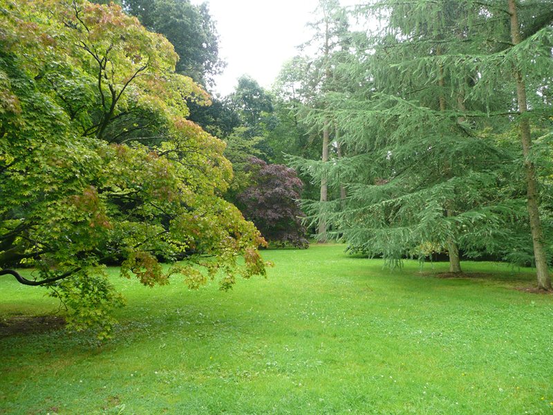 Westonbirt Arboretum