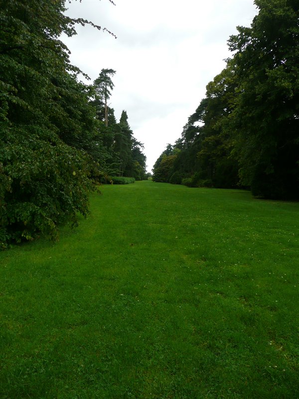 Westonbirt Arboretum