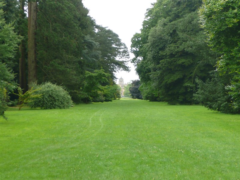Westonbirt Arboretum