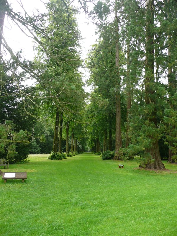 Westonbirt Arboretum