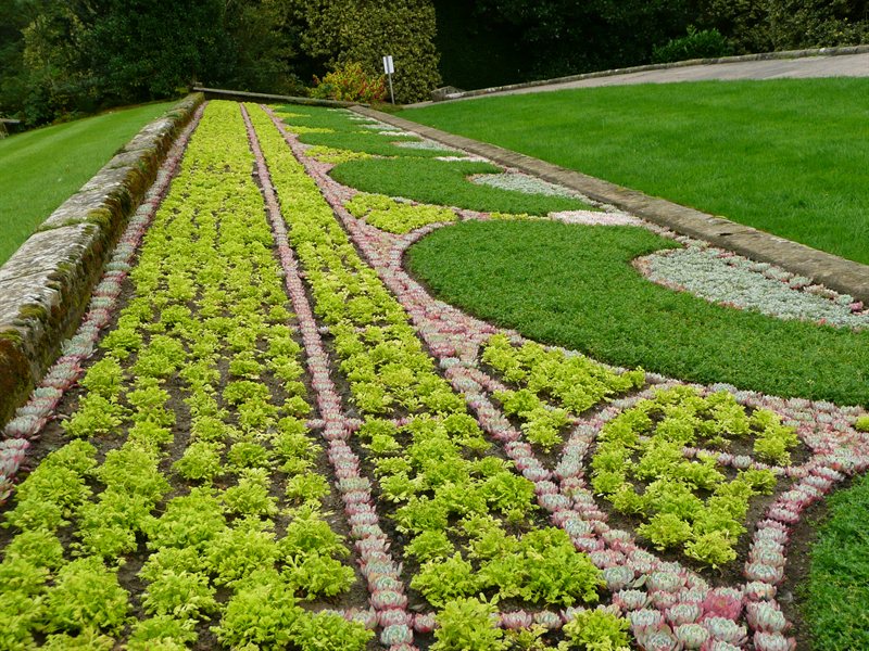 Flower bed in pattern of a bridge