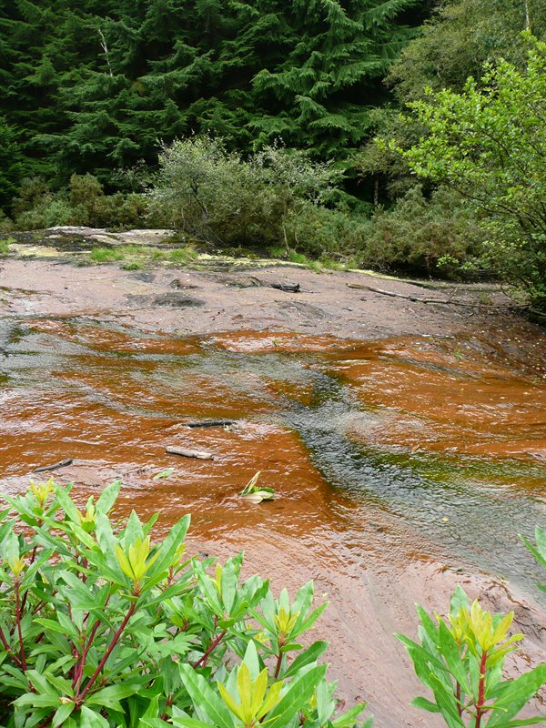 Waterfall (or is it a Matthewfall?)