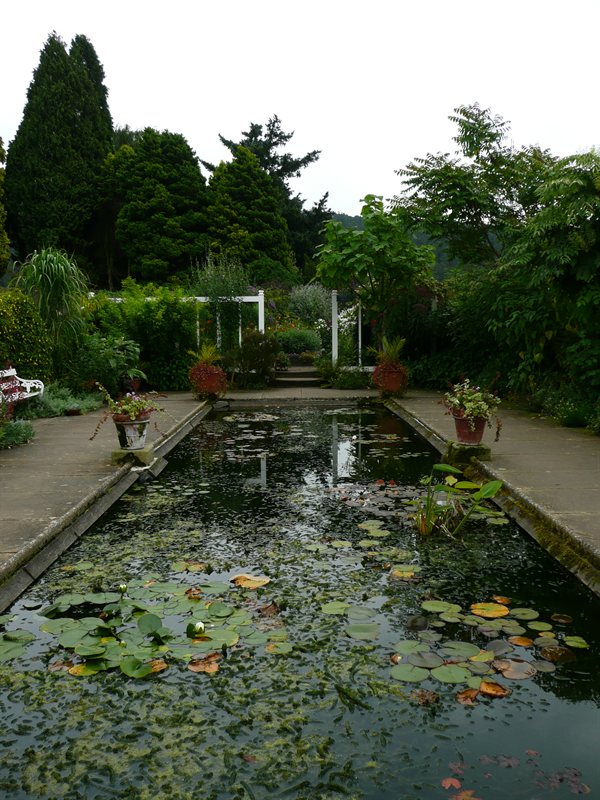 Pond