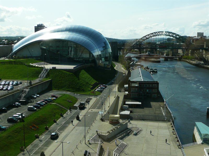 Sage from the Baltic