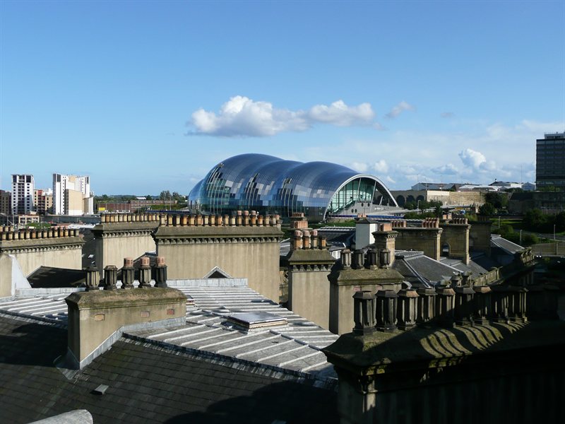 Sage with chimney pots