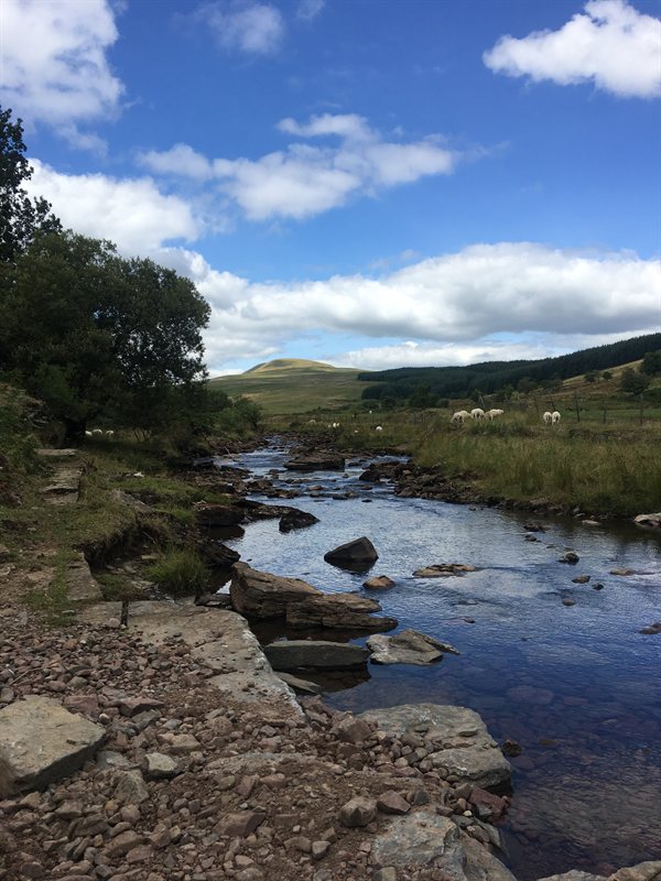 CB51B5A4-6B20-44C2-9241-654EE7CBC2B8