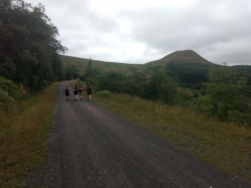 43837675961_020cbac776_o