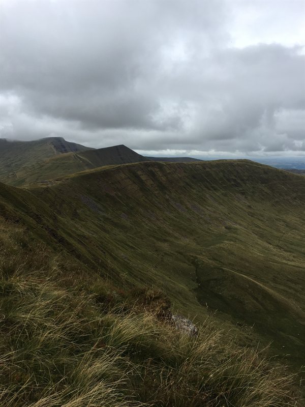 723CD8CB-3CD3-4102-A3C7-A7E604B6ED0E