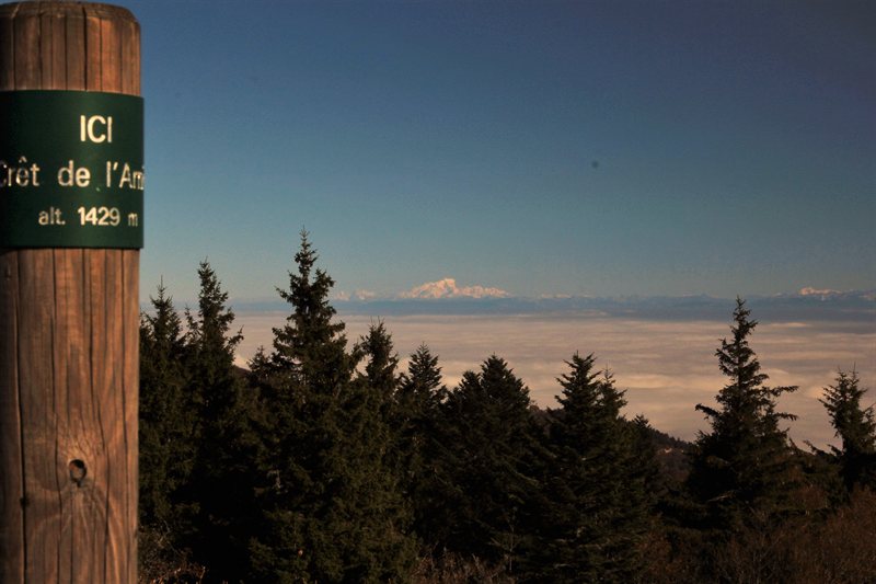 30365929340_d6622e9146_o-1