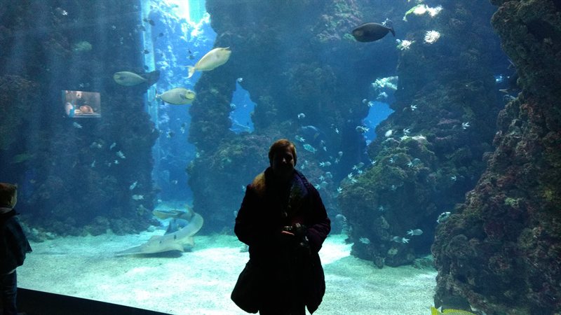 IMG_20161230_123511235