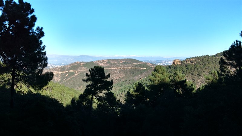 IMG_20161231_133640255_HDR