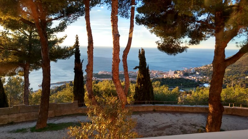 IMG_20170114_081637424_HDR