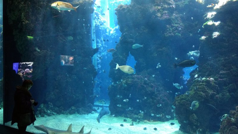 IMG_20161230_123456095