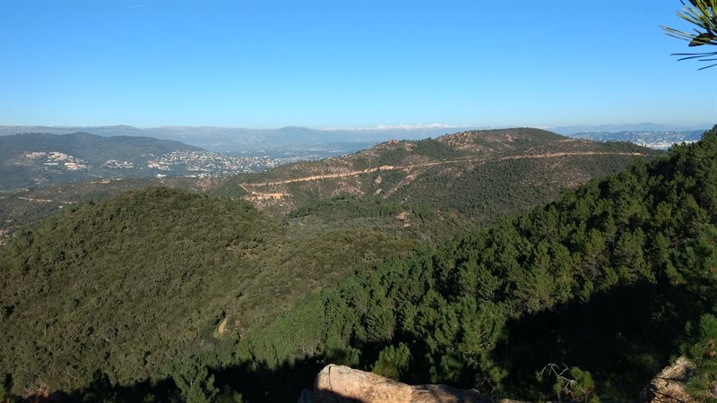 IMG_20161231_135216444