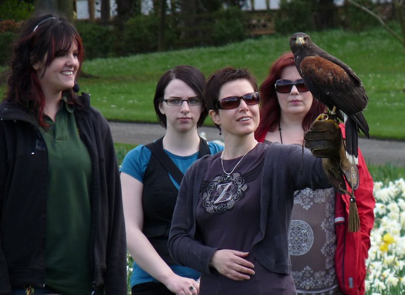 Claire with the hawk