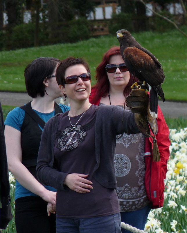 Claire with the hawk