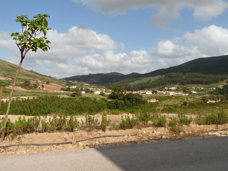 View from front of apartment