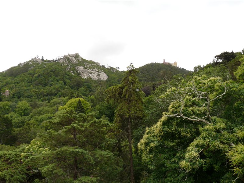 Moorish castle overlooking Sintra from Quinta da Regaleira