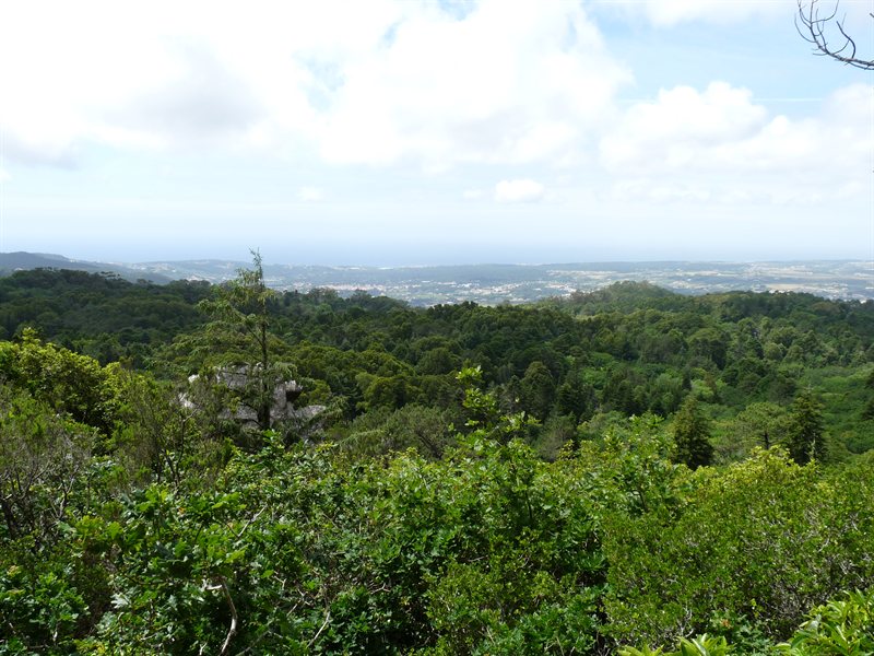 View from the Pena Palace gardens