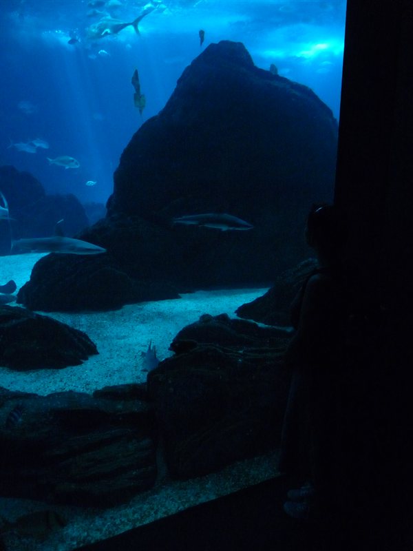 Claire inside the Oceanarium at Parque des Nacoes