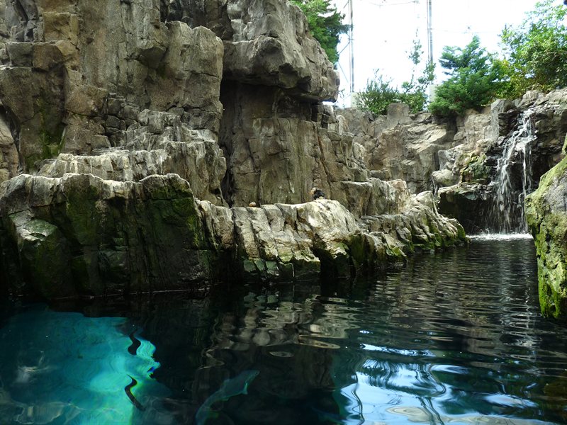 Arctic area at the Oceanarium at Parque des Nacoes
