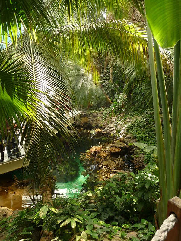 Inside the Tropical area of the Oceanarium at Parque des Nacoes