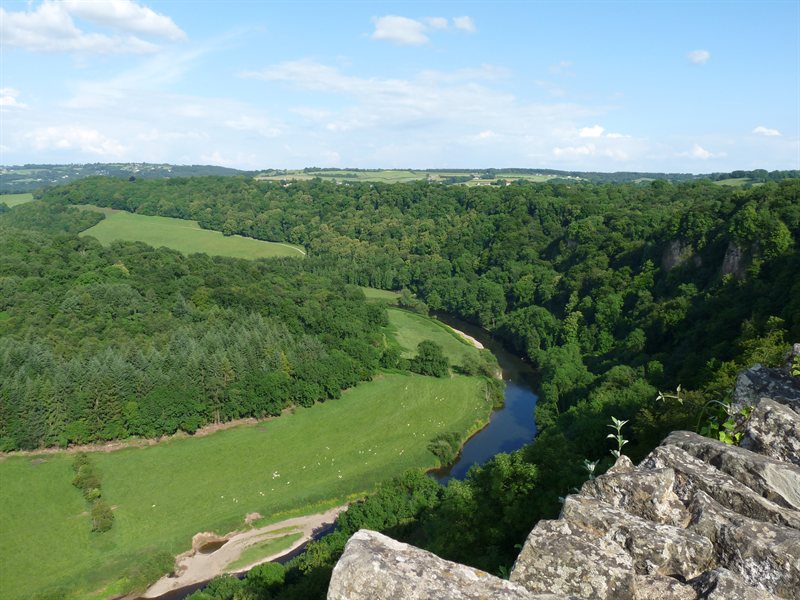 View from Symonds Yat Rock