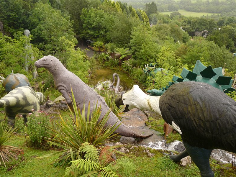 Overlooking the dinosaurs!